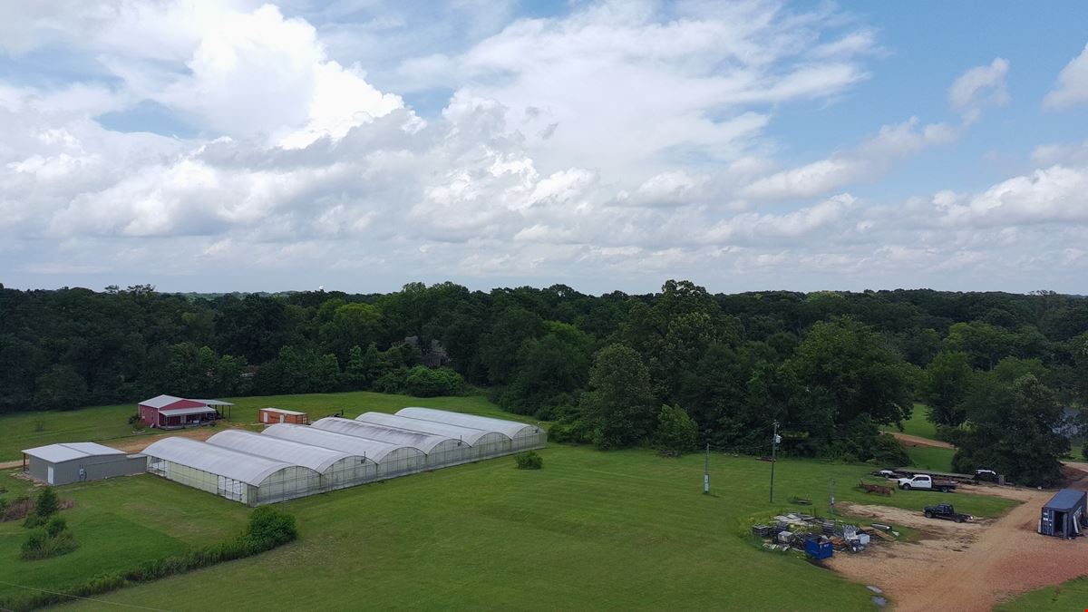 +/- 14.1 ac. Flora, MS