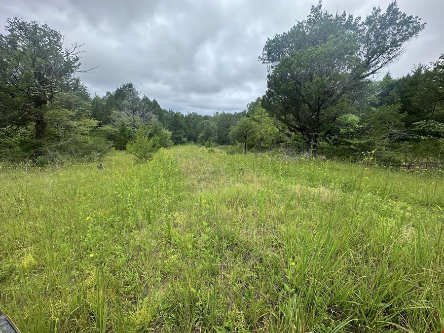 Craig Hill Hunting & Timber Tract