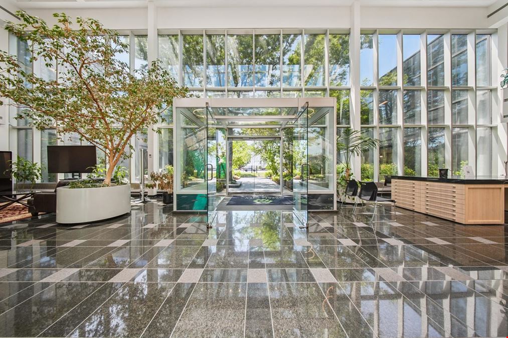 85 Renfrew Drive