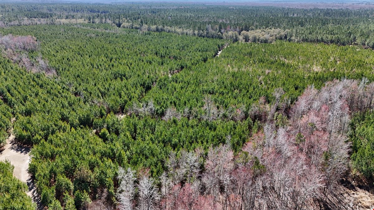 Lewis Timber Tracts