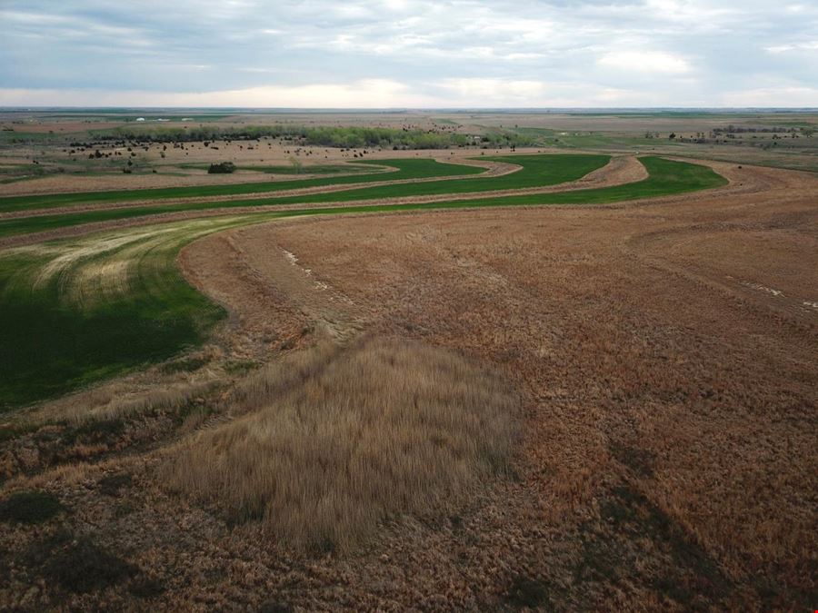 ±240 Acre Hunting and Agricultural Land located in Rooks County, Kansas