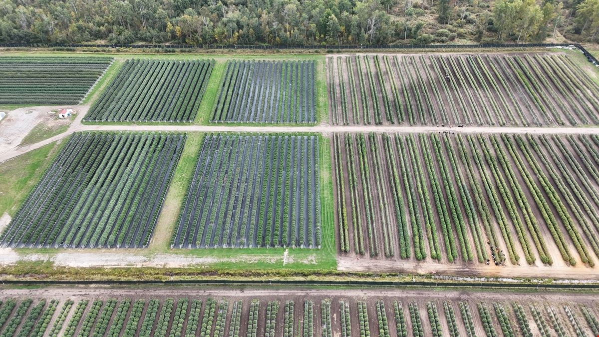Tawas City - Former Operating/Turnkey Cannabis Outdoor Cultivation Operation