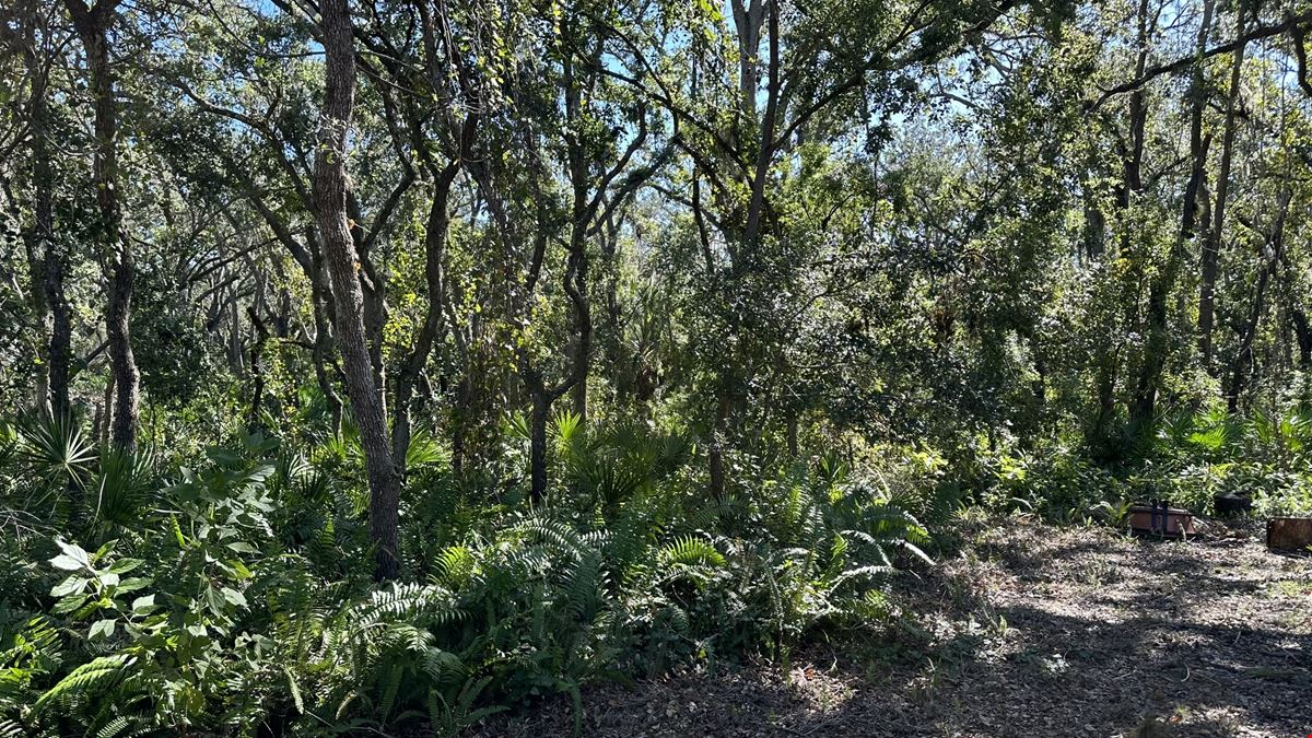 Executive Homesite - 4.19 Acres, Florida