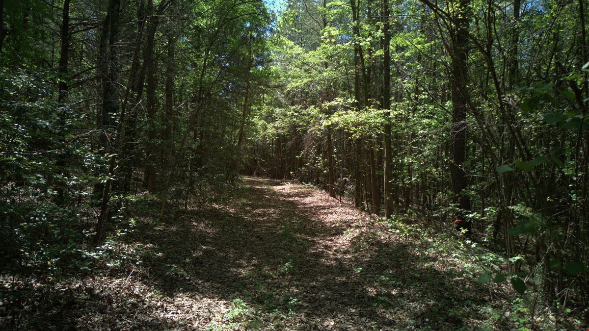 ± 34.48 Unrestricted Acres Near Lake Keowee