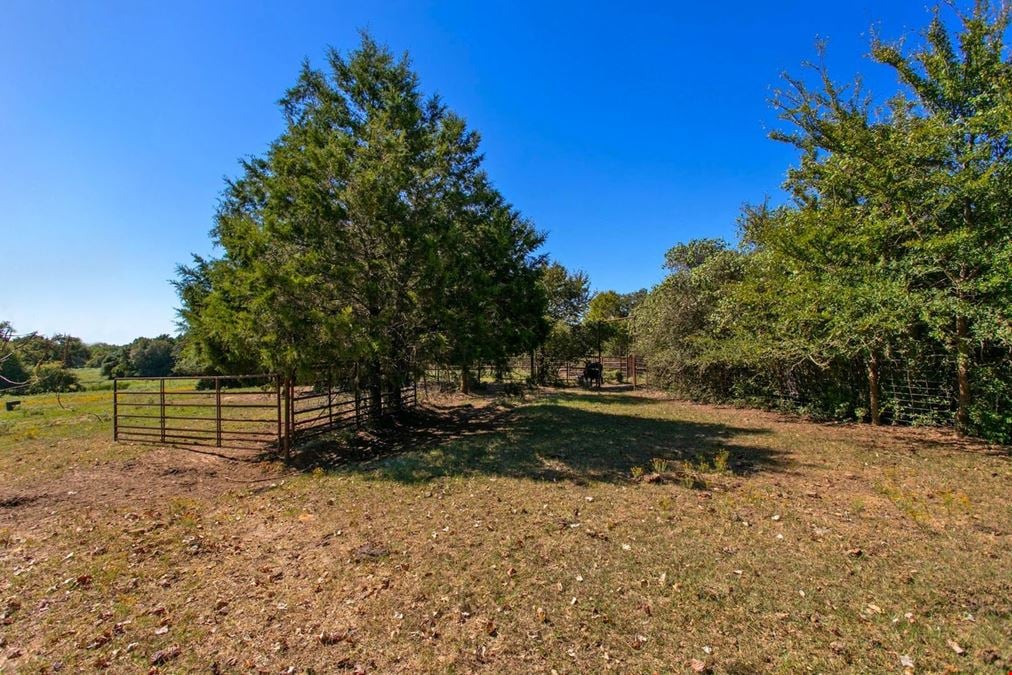 11041 Jack Rabbit Lane
