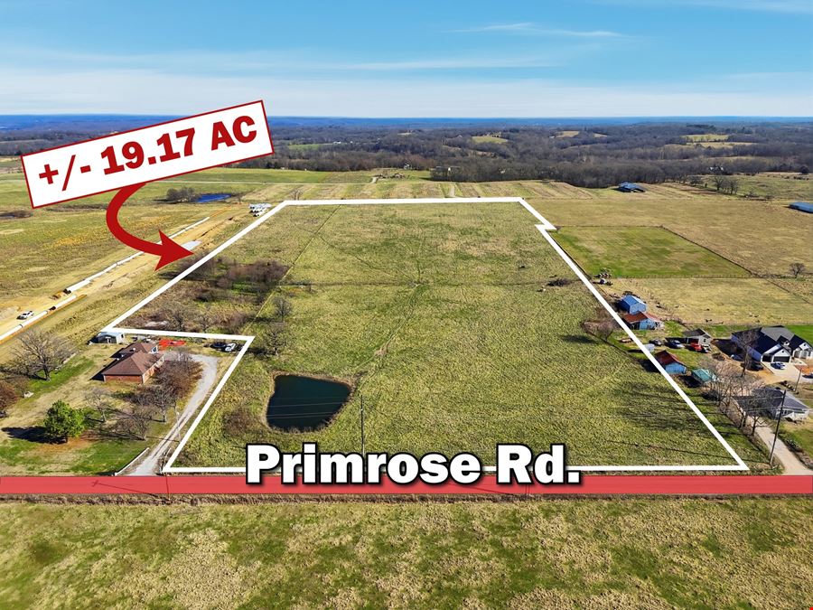Primrose Rd