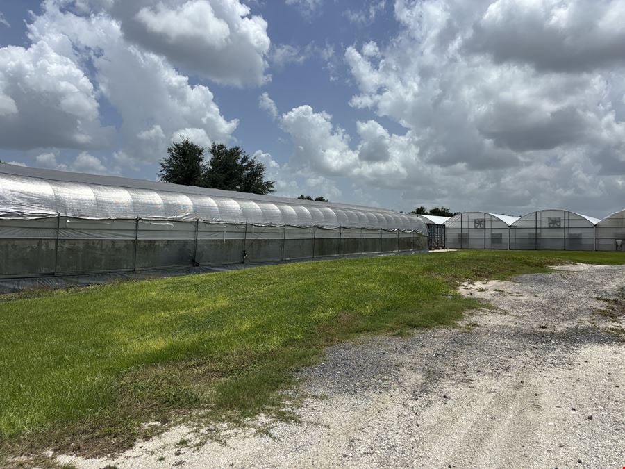 Polk County Citrus Nursery