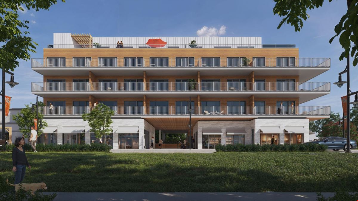 The Alexander