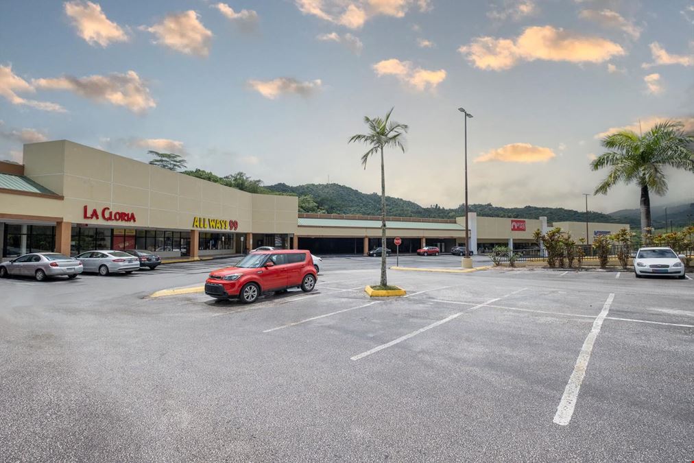 ADJUNTAS PLAZA SHOPPING CENTER