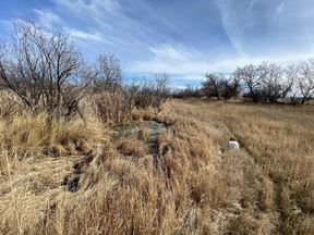 10± Development Acres Off Billings Arterial Road