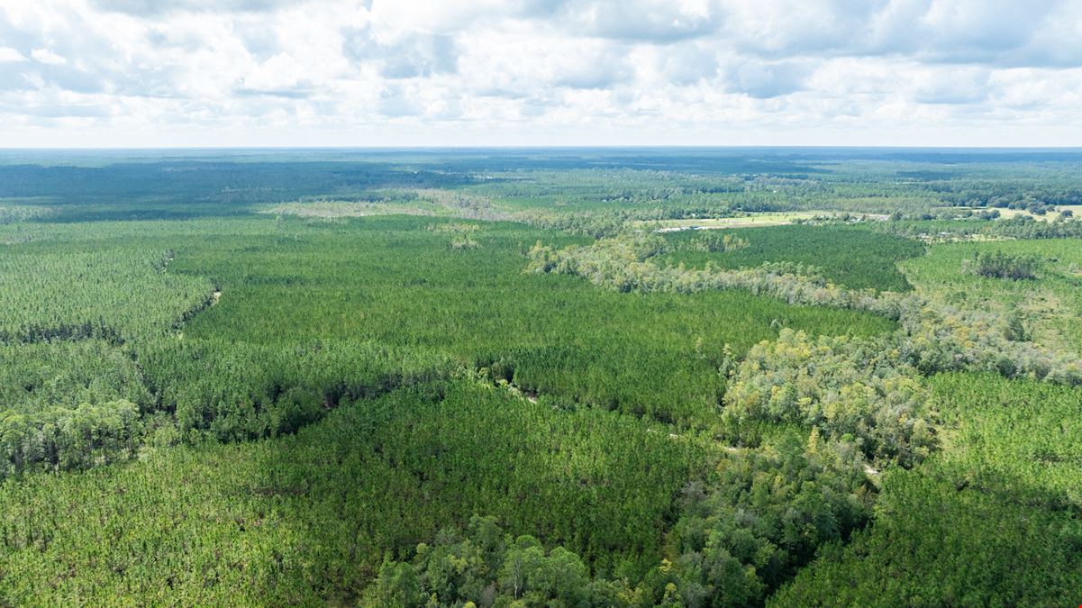 Dunn Creek Tract