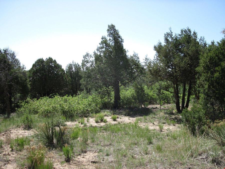 16 Roadrunner Rd
