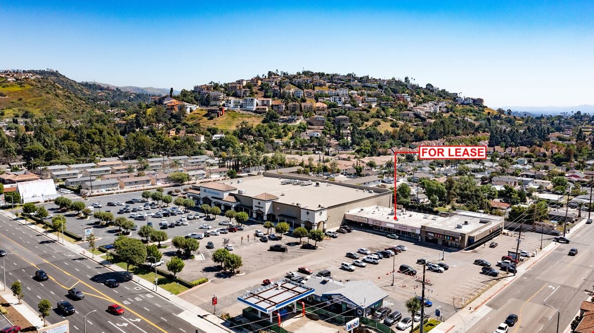Village Plaza Shopping Center