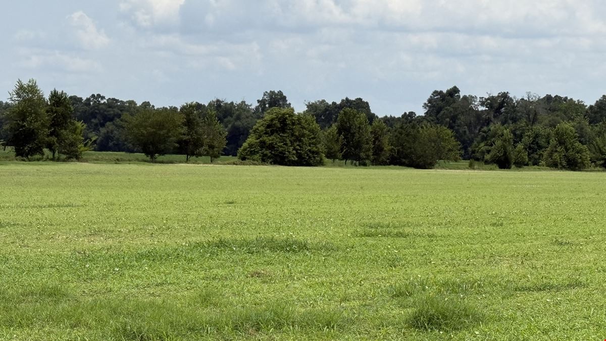 19± Acres in Bascom, FL – Ideal Homesite or Hobby Farm