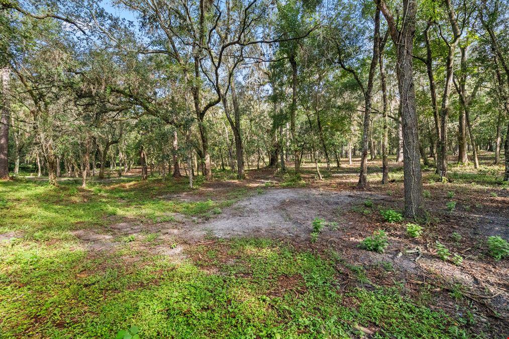 Brooksville 12 Acre Tract