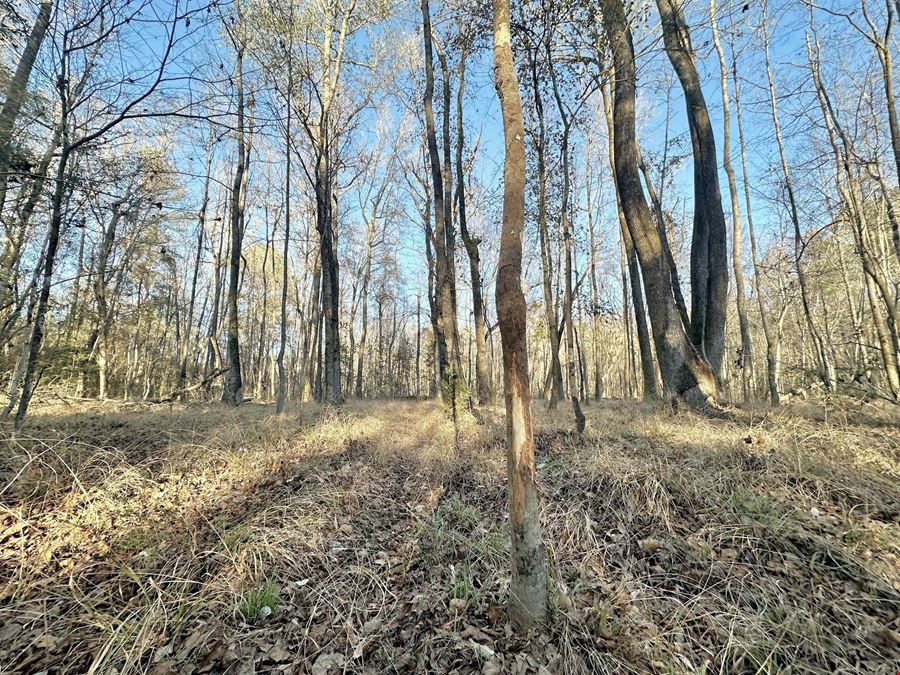 Noble Tract