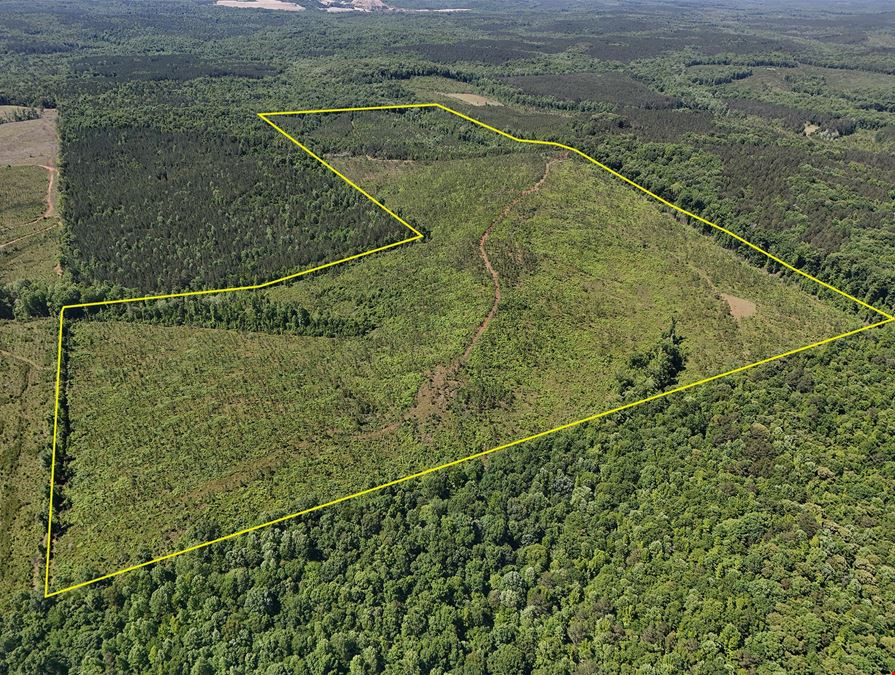Longleaf Ridge