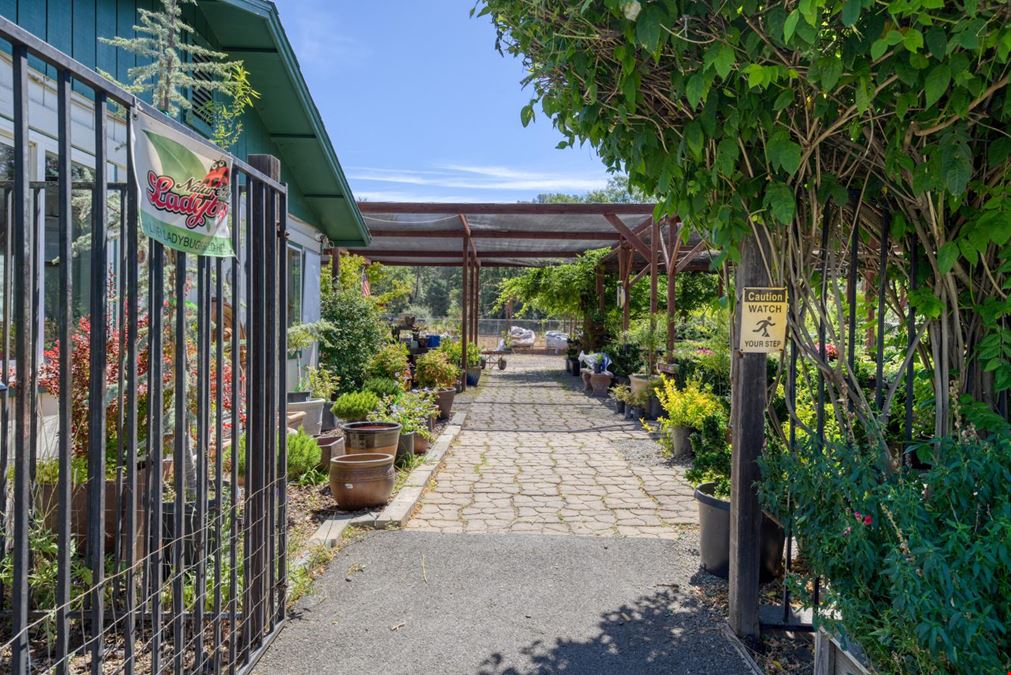 Nottingham Nursery