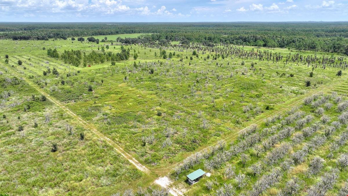 Deen Still Rd 25 Acres