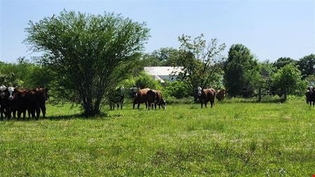 Preview of Unassigned space for Sale at Sterling Road