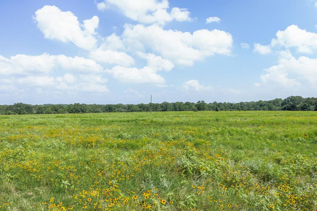 TBD Hopes Creek Road - 40 Acres