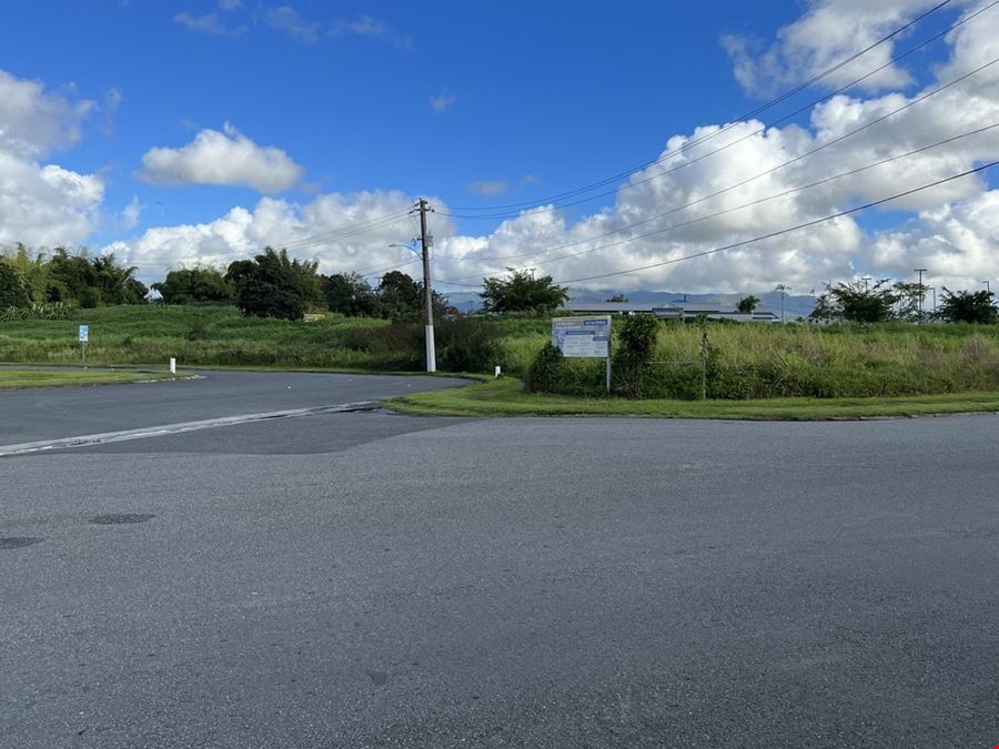 Las Piedras Industrial Park - Lots 1 & 2 - For Sale