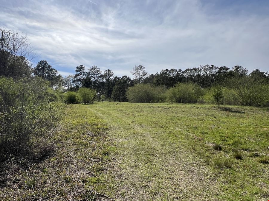 28 ± Acre Patterson Road Tract