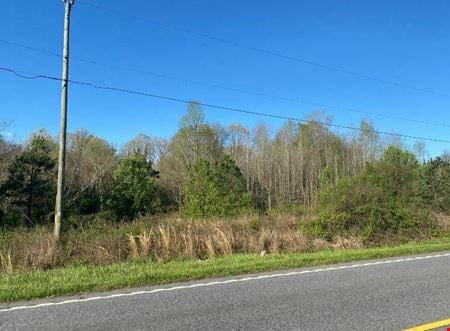 Preview of VacantLand space for Sale at 115 Cindy Drive
