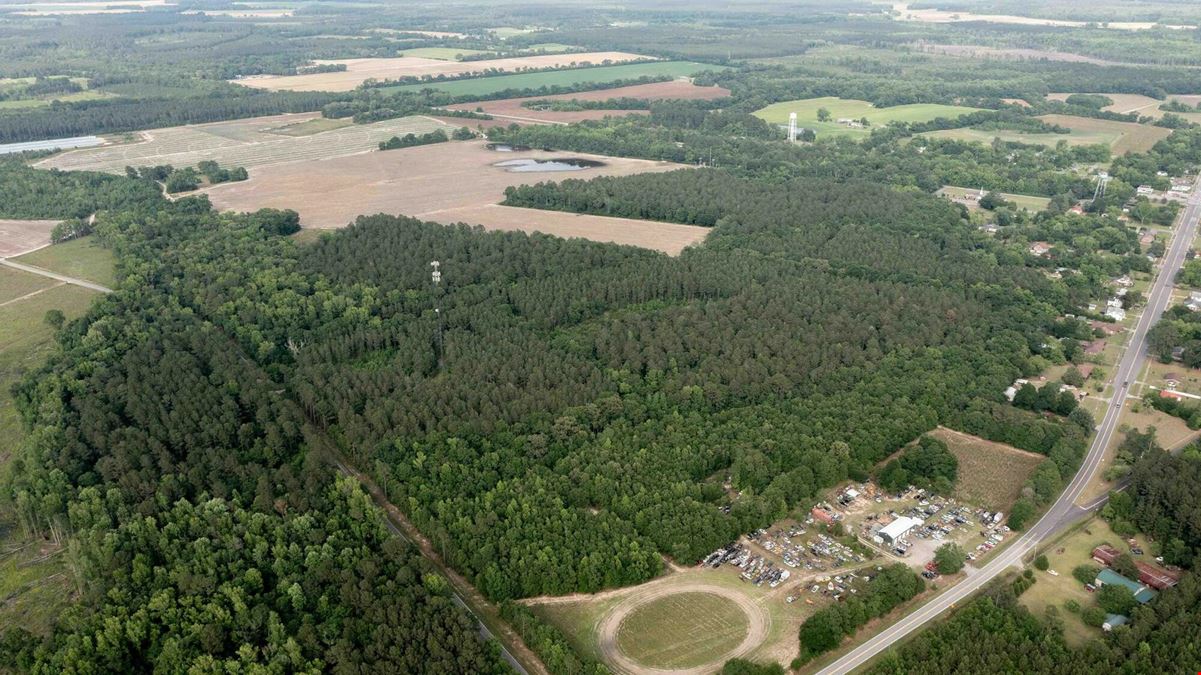 51.46 Acres of Land FOR SALE in Olar, SC