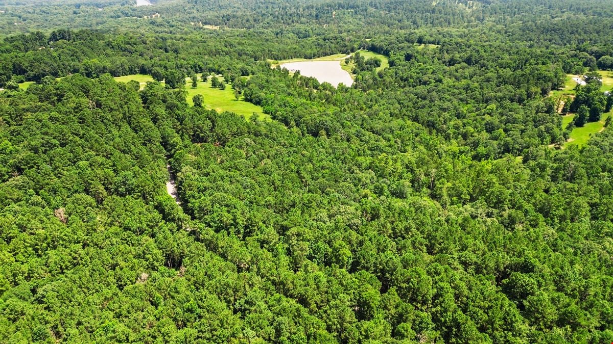 ±5.15 Acres Unrestricted in Coldspring – Ideal for Commercial, Mixed-Use, or Investment Development
