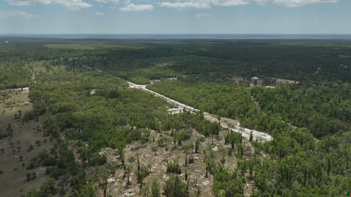 Spring Warrior Cove