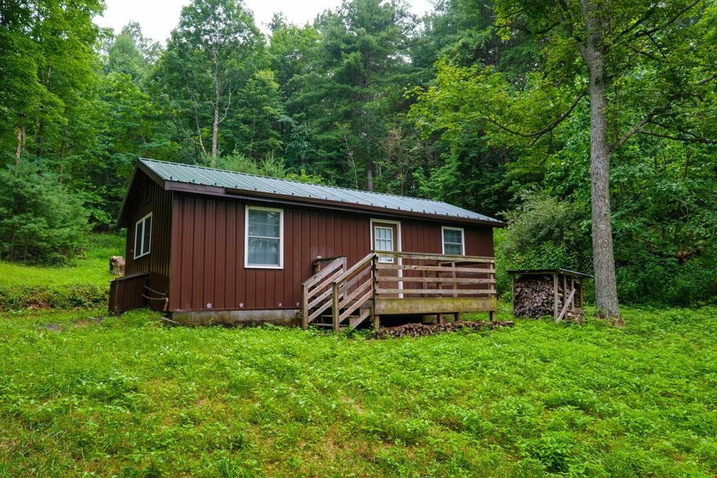 ADJOINING NATIONAL FOREST - 54.5 ACRE OFF-GRID MOUNTAIN RETREAT W/ CABIN