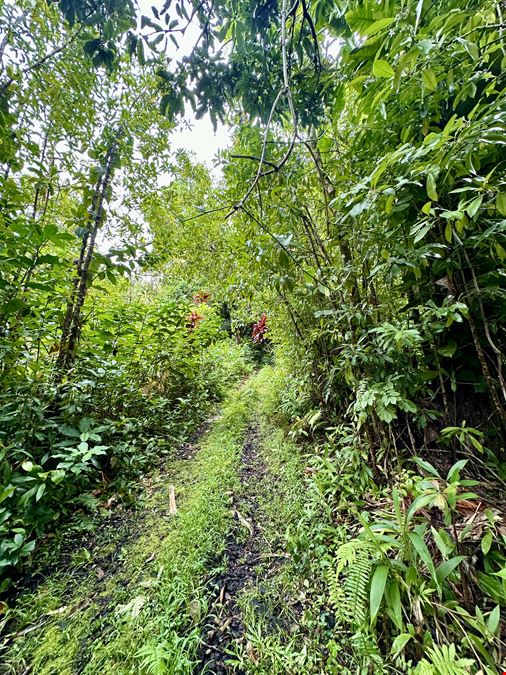 Hana Highway, Hana, HI 96713