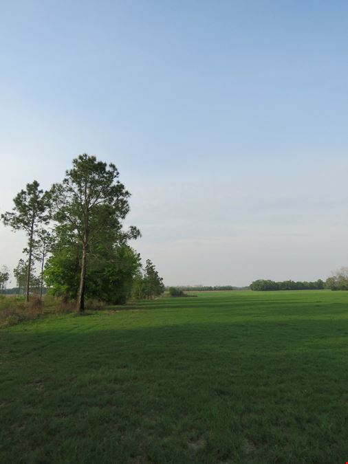 Suwannee County Farm