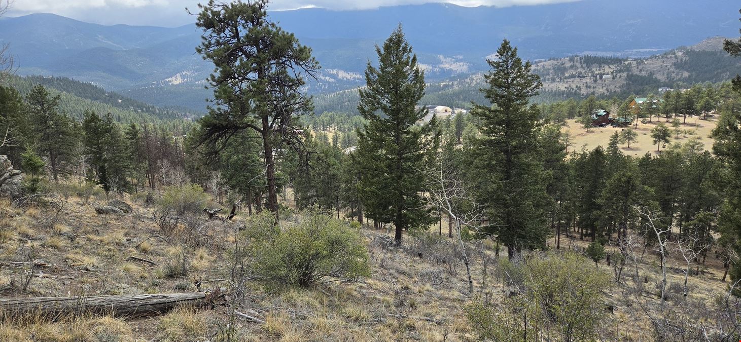 15+ Acres of Commercial Land