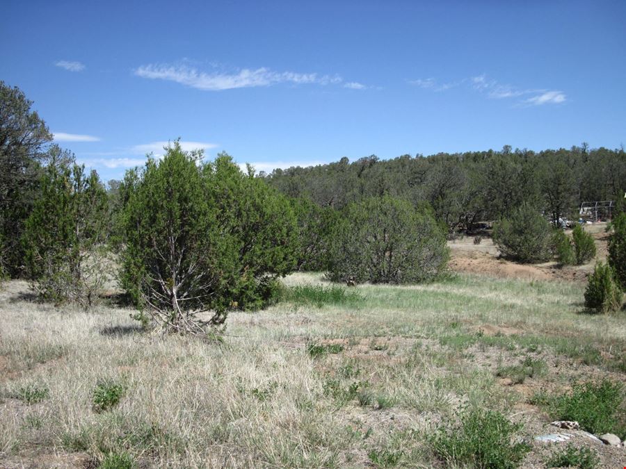 156 Jesse James Rd