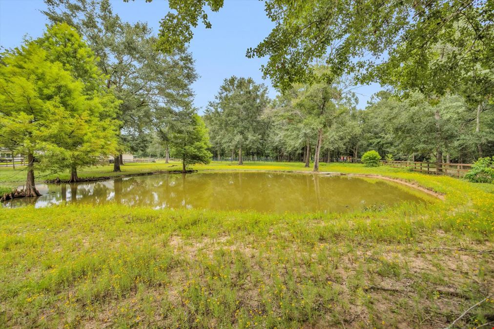  30820 Collier Smith Rd