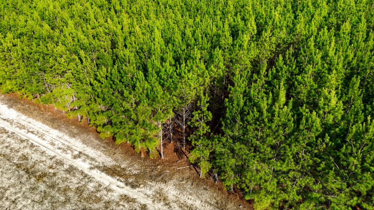 Development Opportunity - 127 Acres, Loris, SC