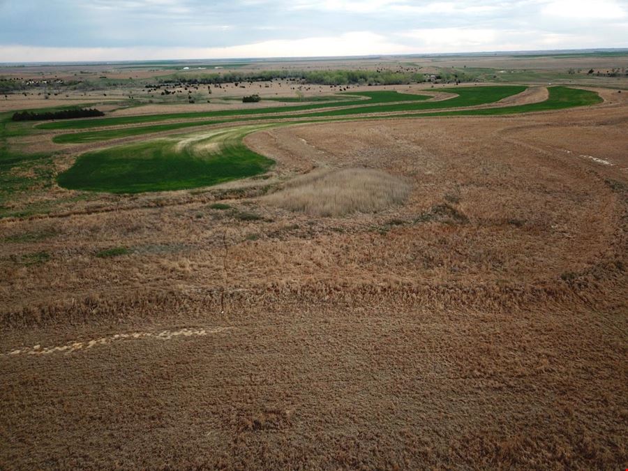 ±240 Acre Hunting and Agricultural Land located in Rooks County, Kansas