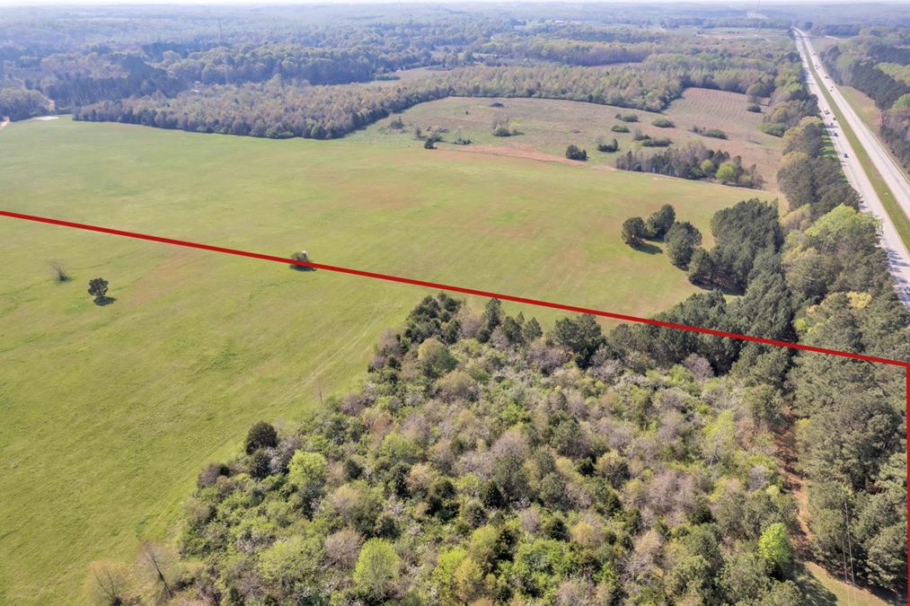 65 Acres with Former Grass Airstrip in Gray Court