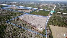 For Sale | 201.46 AC  Wellborn, FL
