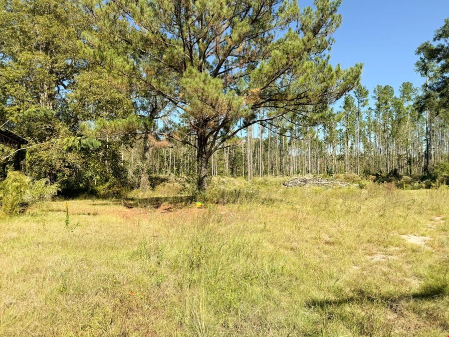 Land for Development | 7210 Hwy 49 North