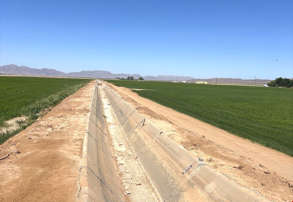 Excellent Vegetable Farmland: ±110 Water Acres in Wellton