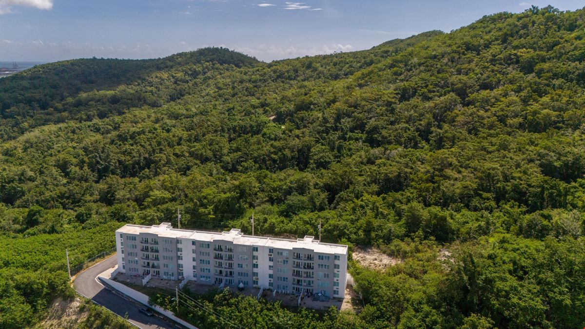Ponce Agricultural 18.36 Acre Land @ Canas Ward - For Sale