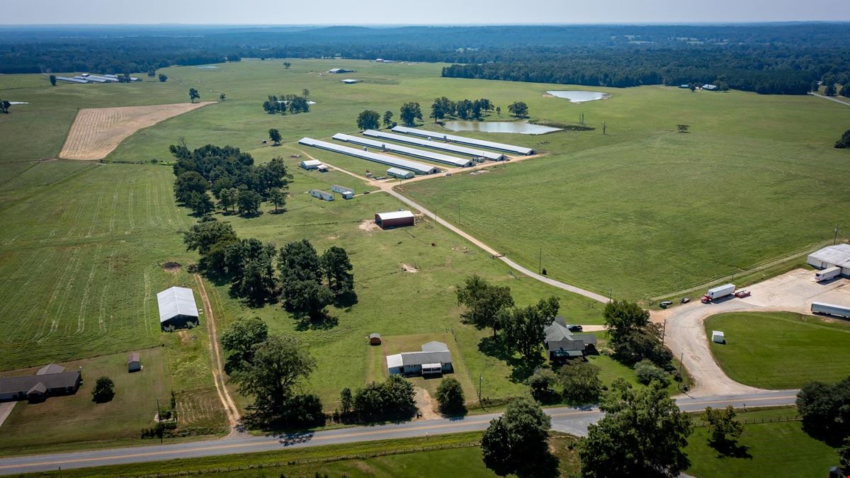 Hope Arkansas Chicken Farm