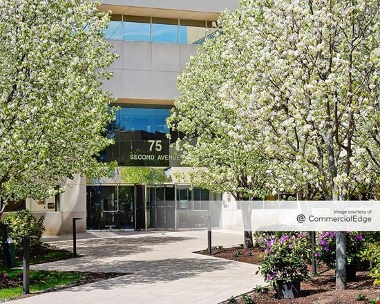 Preview of Office space for Rent at 75 2nd Avenue #605