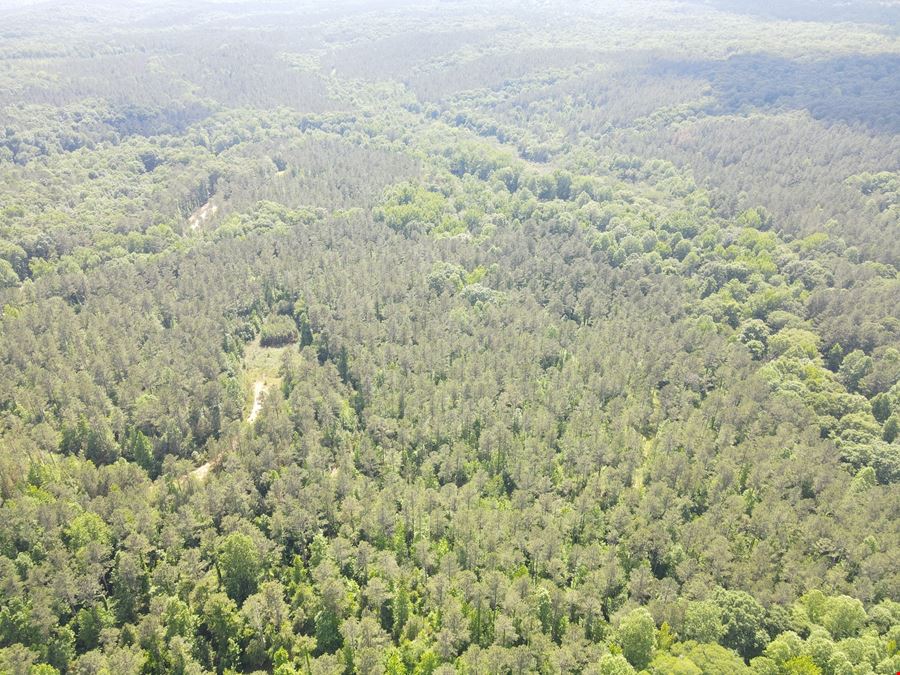 713.08 Acres - Chattahoochee Meadows