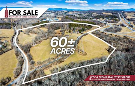 Preview of VacantLand space for Sale at 412 Tinker Mountain Rd