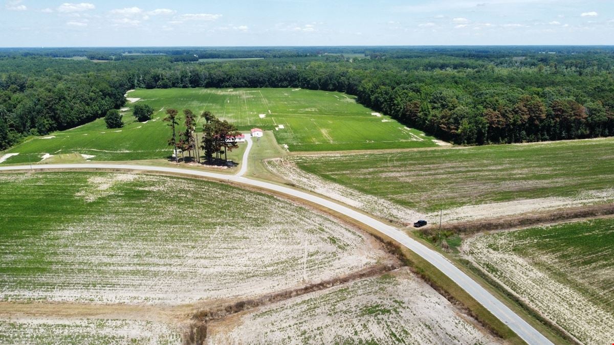 Ross Road 86 Acre Tract