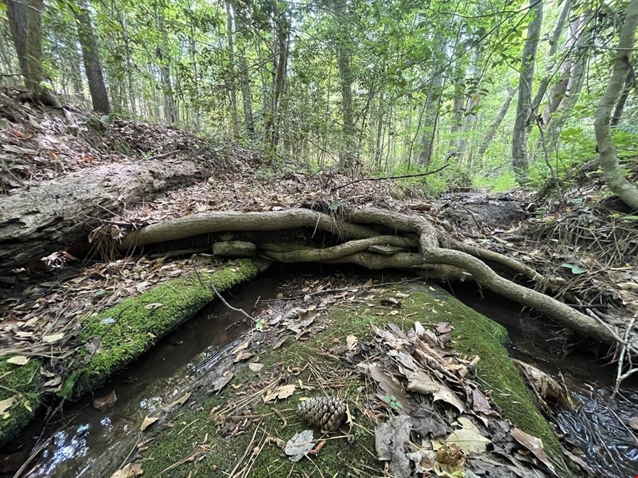 Goochland Land